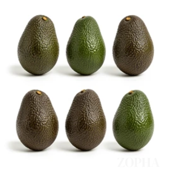 Avocado Hass Variety 6 CT