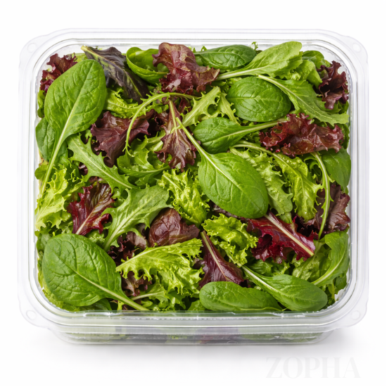 Organic Spring Mix Greenhouse Grown, 1 lb