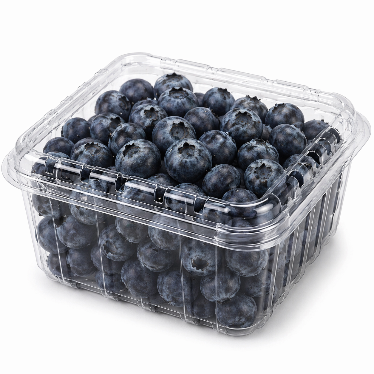 Organic Blueberries-18 OZ