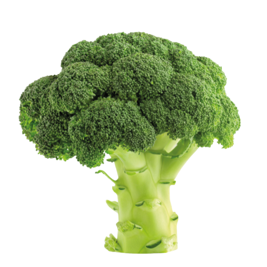 Broccoli