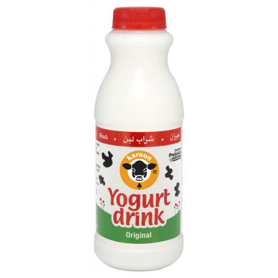 Karoun Yogurt Drink 1pint