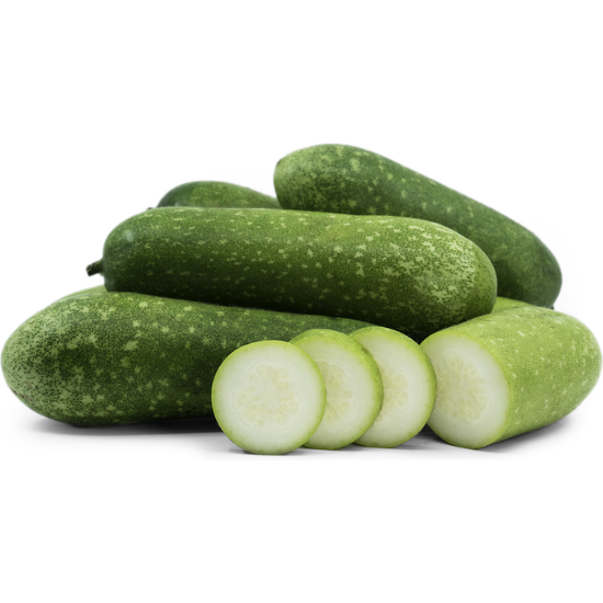 Fuzzy Squash ( Galka )