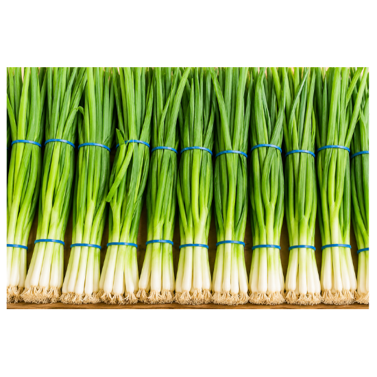 Spring Onion (Green Onion Bunch)
