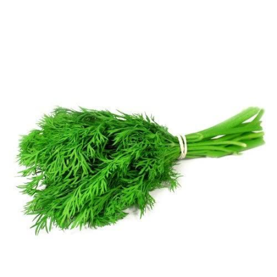 Dill Leaves Bunch