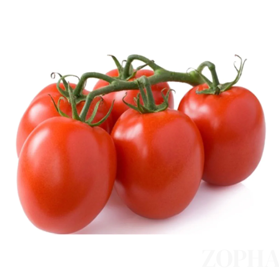 Tomato Roma
