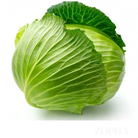 Cabbage
