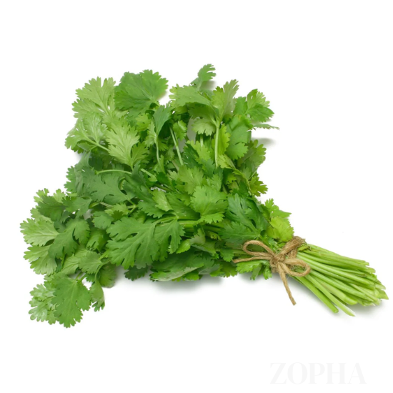Cilantro Each