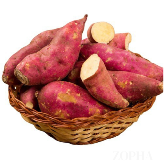 SweetPotato