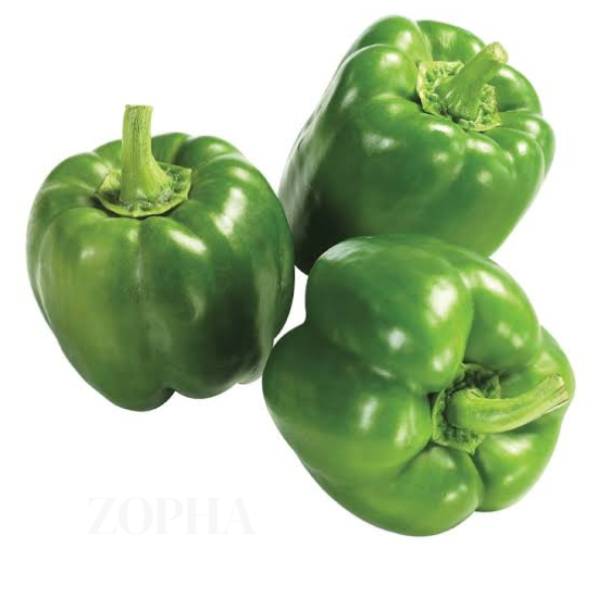 Green Bell Pepper