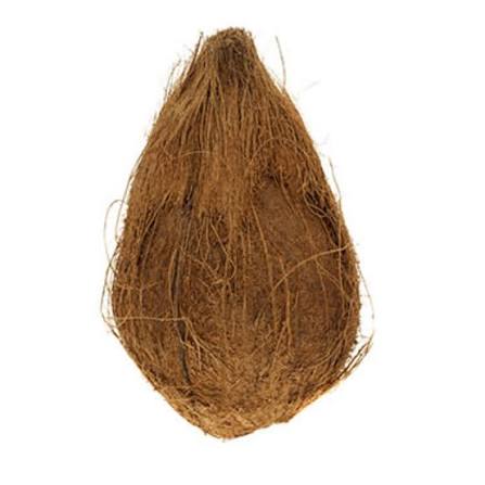 Pooja  Coconut / Brown Coconut
