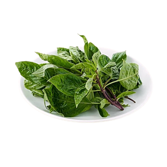 Basil Leaves Pack of 1