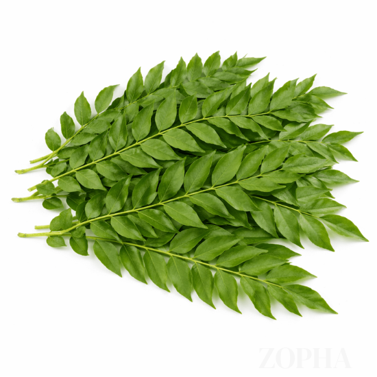 Curry Leaves Pack of 1