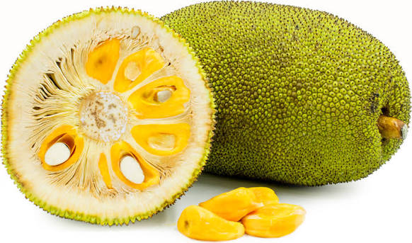 Jackfruit/Kabocha - 1 LB