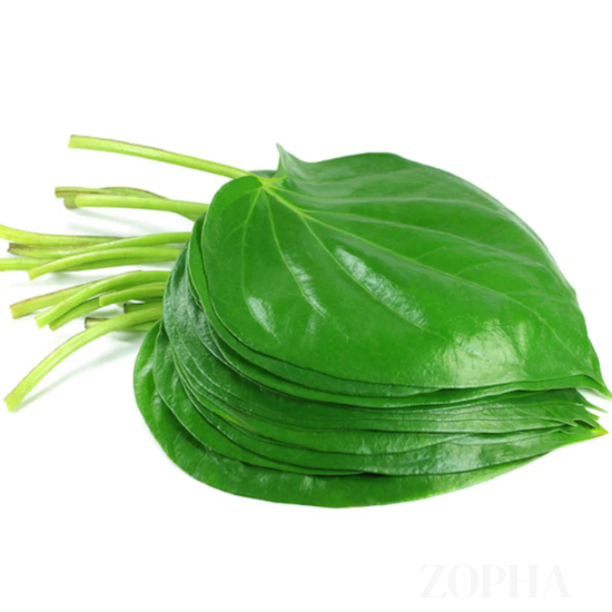 10 Pan Leaves Pack