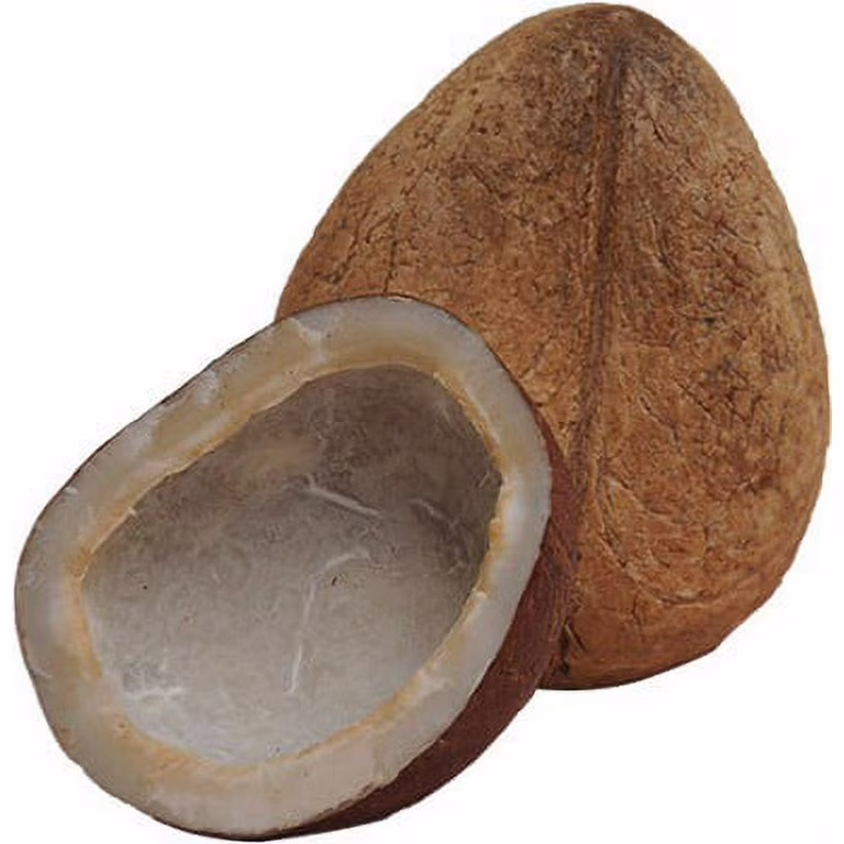 Indrav Coconut Whole Dry 1PC