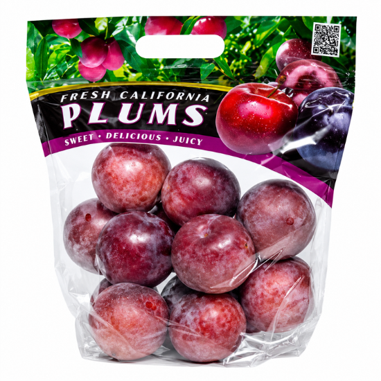 Plum1 CT